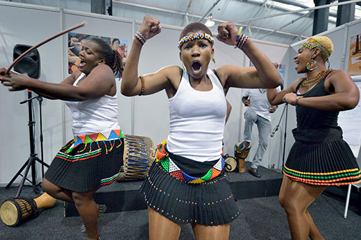 RS115862 south-africa-2016-jeffrey-iac-1952-520x346